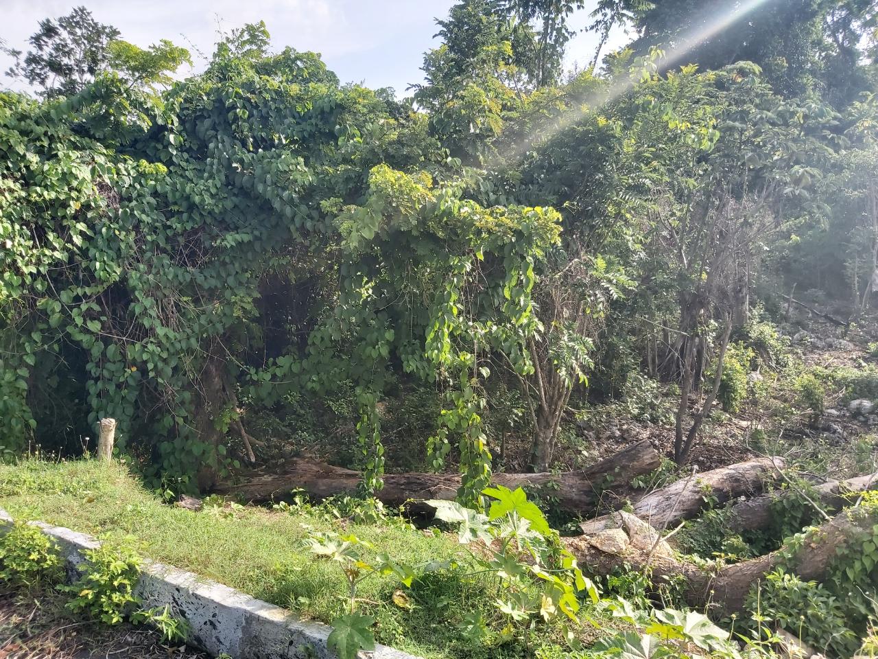 Residential Lot For Sale SPRING VALLEY, Tower Isle 10,000,000 Keez