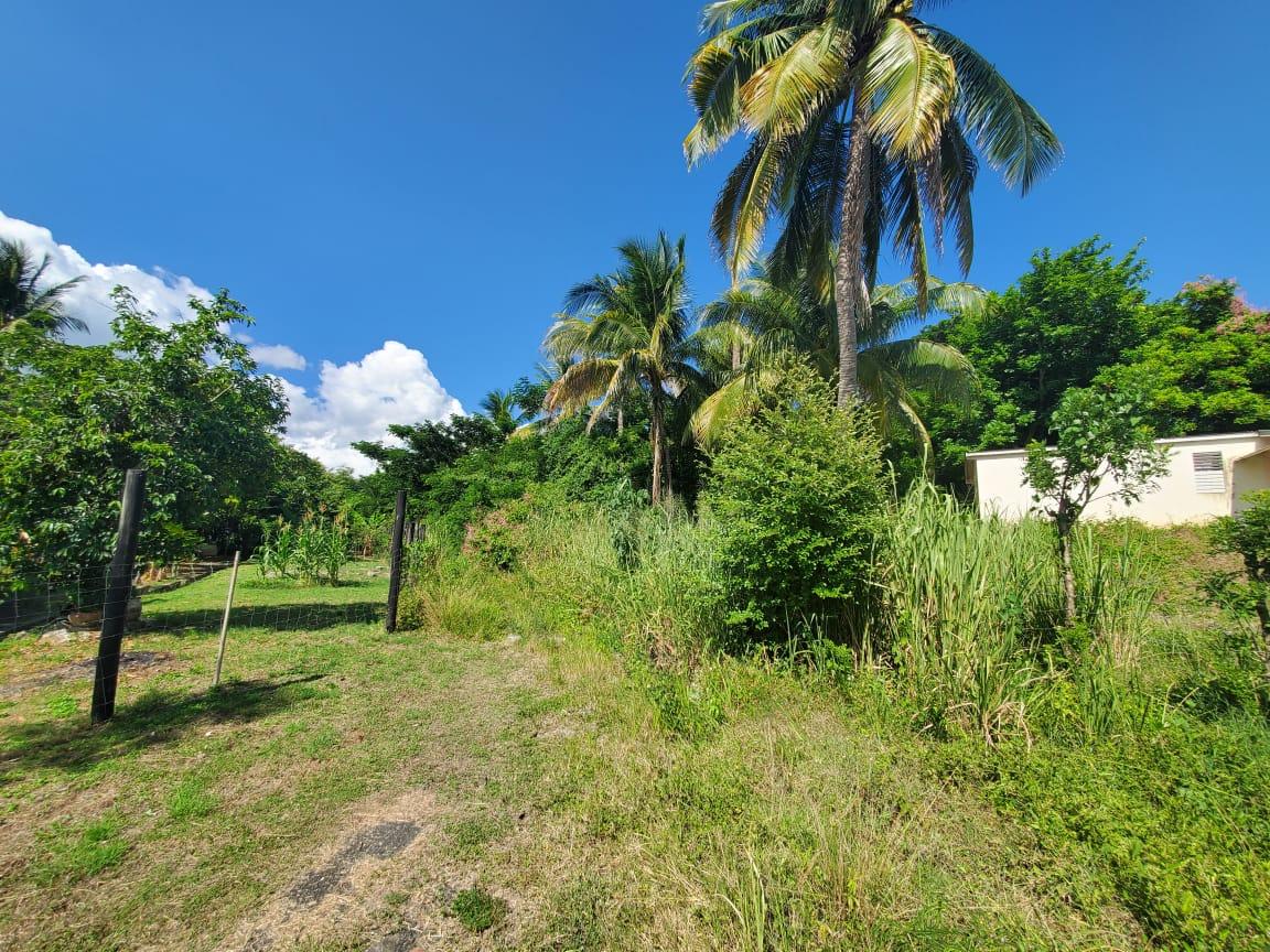 Residential Lot For Sale REDHILLS PEN, MORANT BAY, Morant Bay 41,000,000 Keez