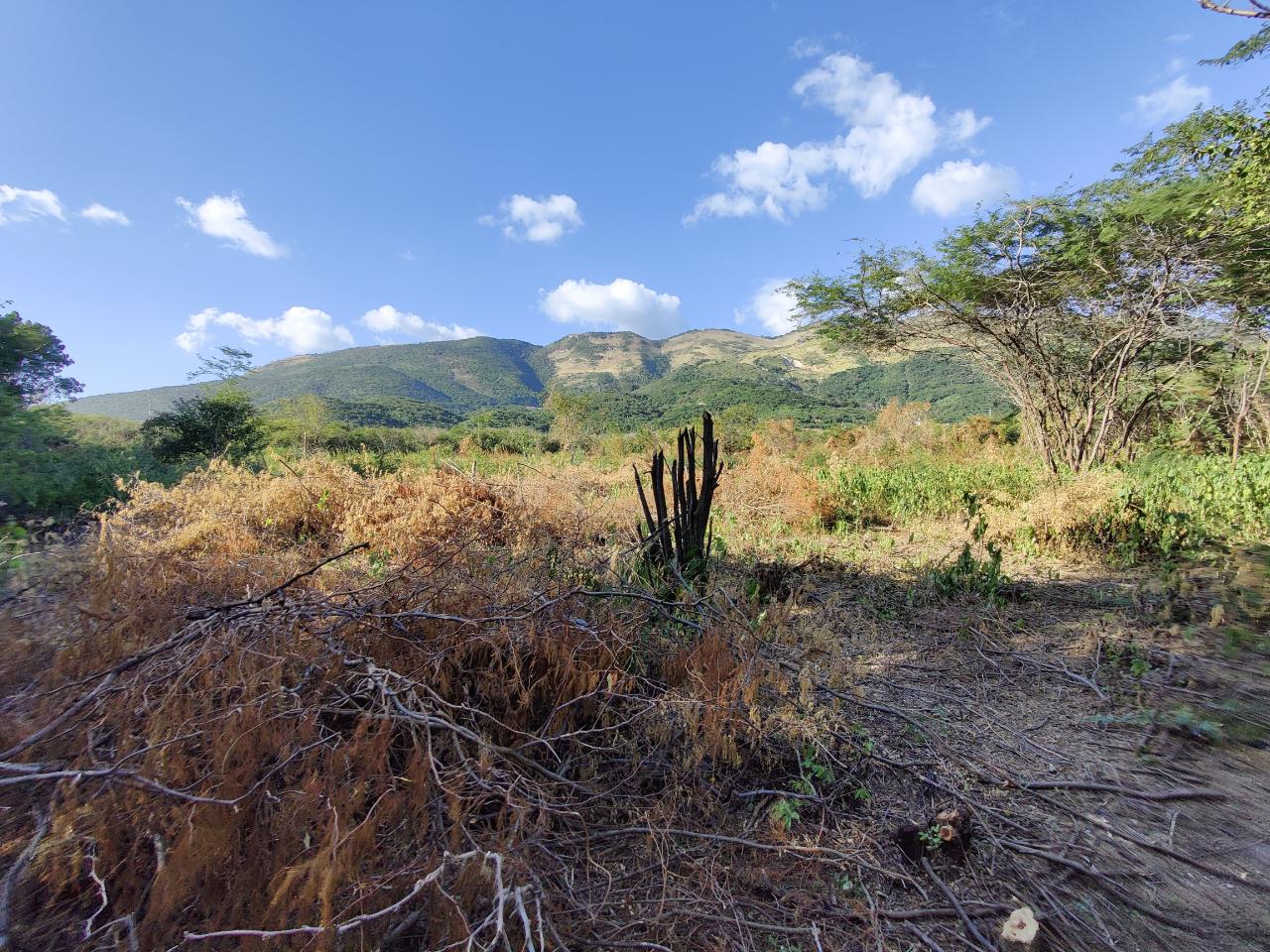 House For Sale MOUNT PAMPHRET ST, Yallahs 70,000,000 Keez