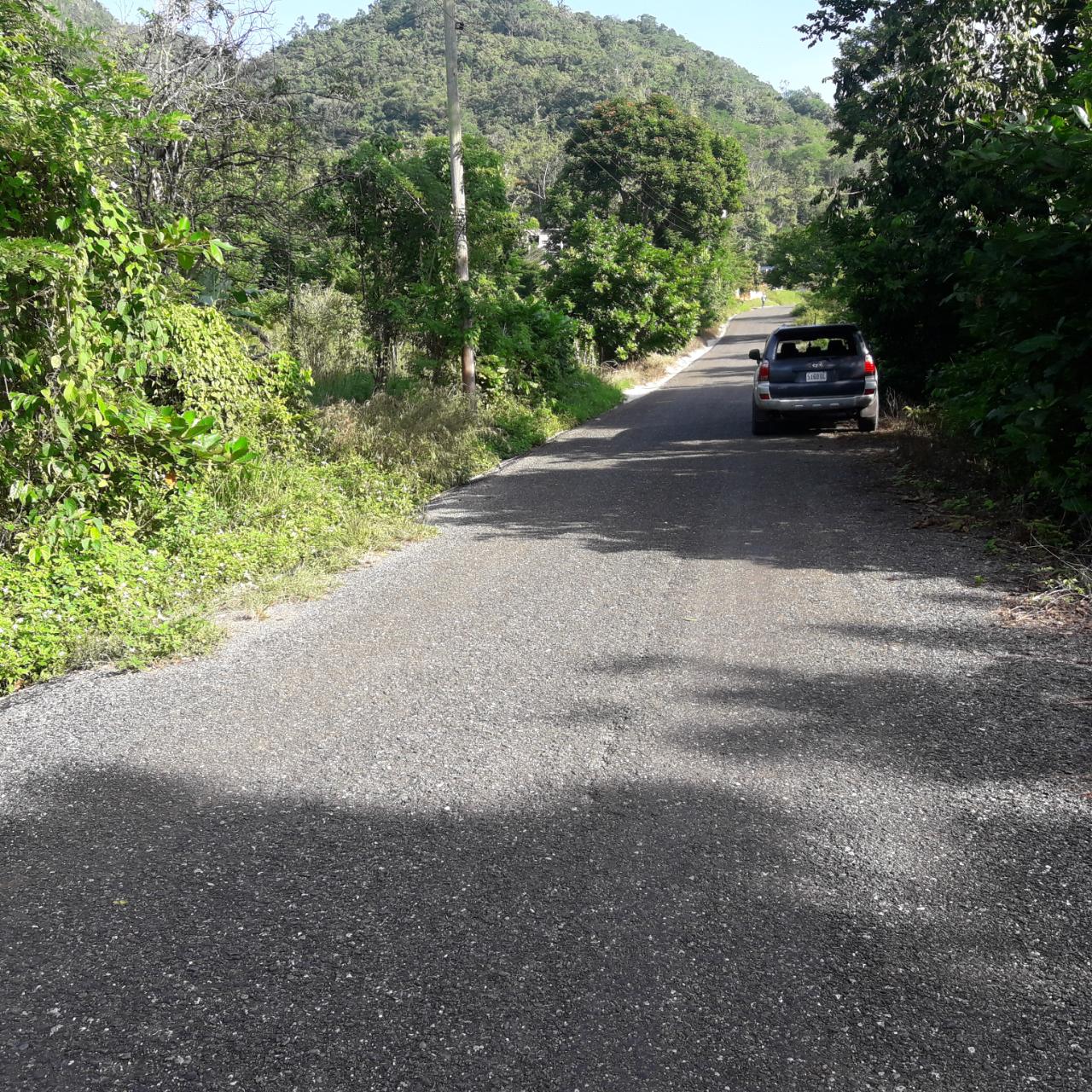 Development Land (Residential) For Sale GRIERFIELD, ST. ANN, Moneague 110,000 Keez