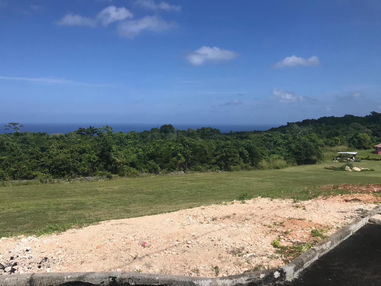 Residential Lot For Sale EDGE HILL ESTATE, Boscobel 90,000 Keez