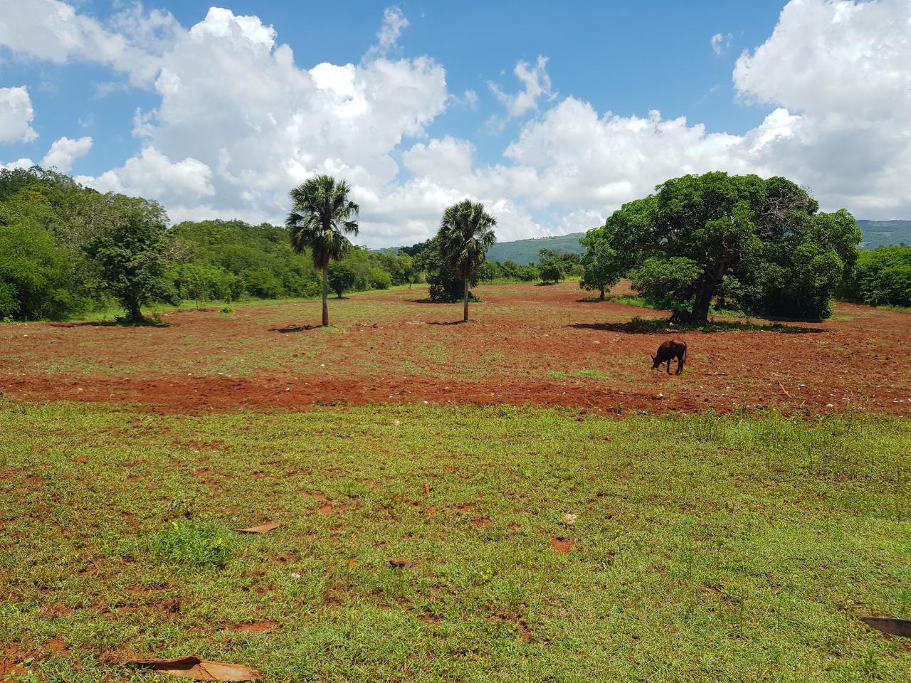 Development Land (Residential) For Sale BRAMBLETON HALL, NAIN, Nain