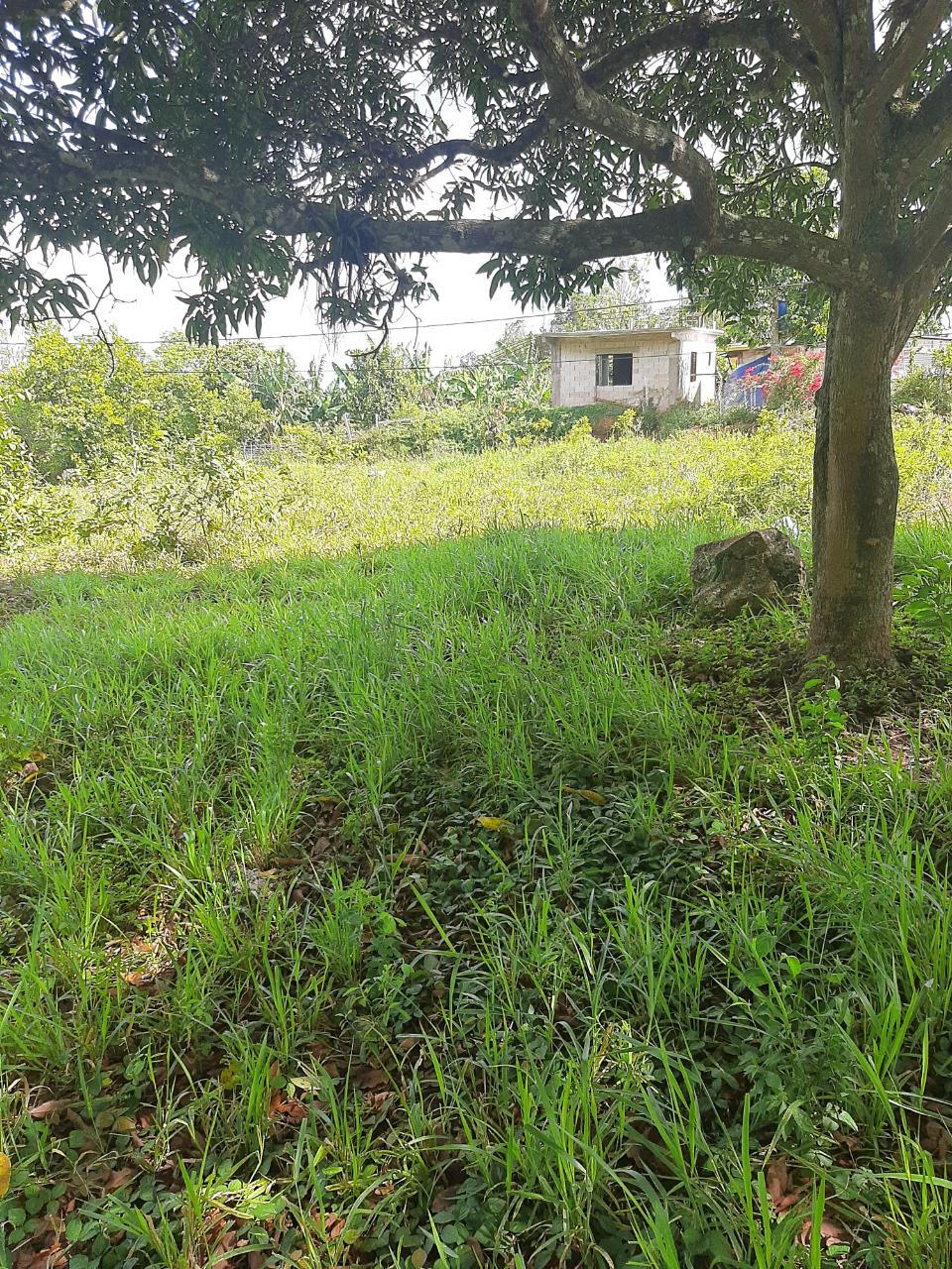 Residential Lot For Sale LINCOLN ENFIELD, Browns Town 5,300,000 Keez