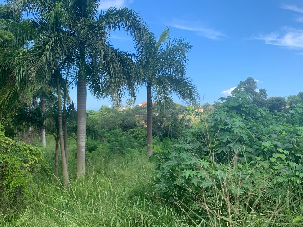 Residential Lot For Sale IRONSHORE, Montego Bay 90,000 Keez