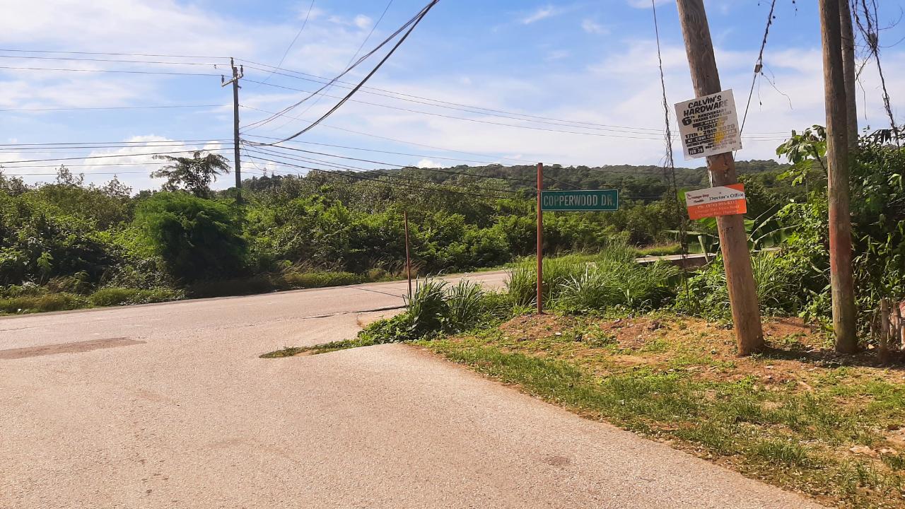 Residential Lot For Sale COPPERWOOD,HAUGHTON COURT, Lucea 75,000 Keez