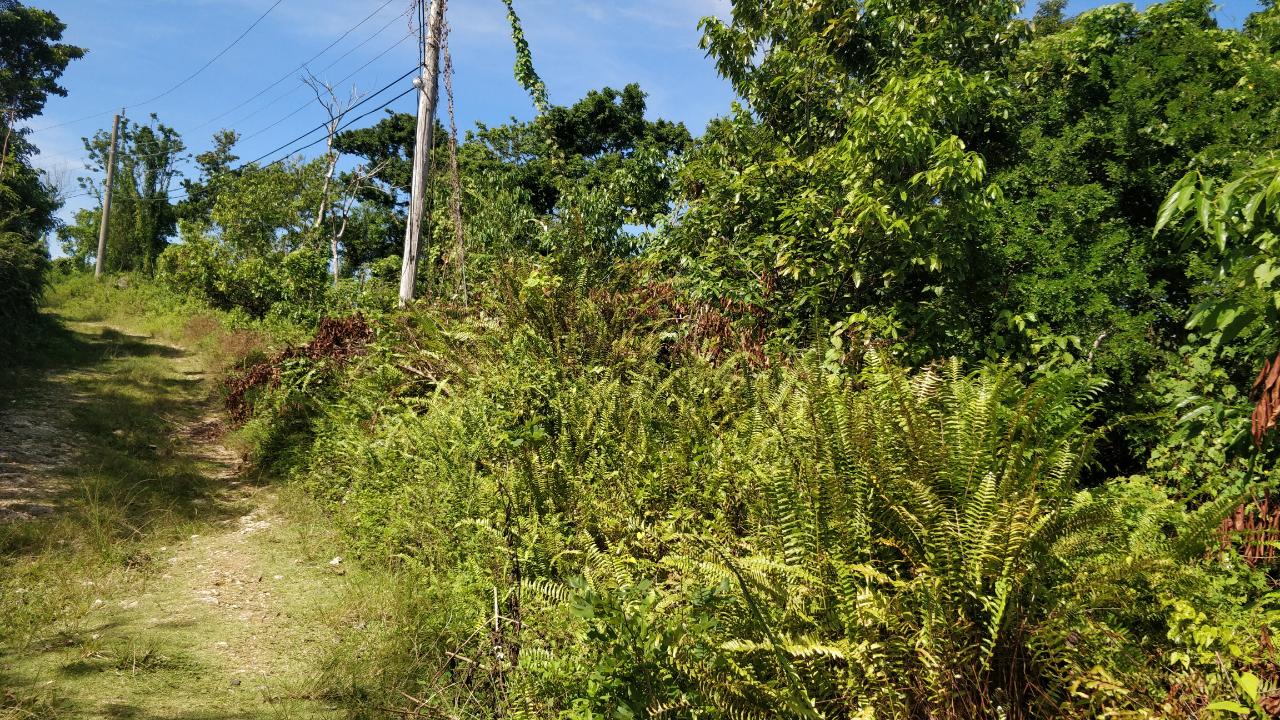 Development Land (Residential) For Sale NORWICH, PORTLAND, Port