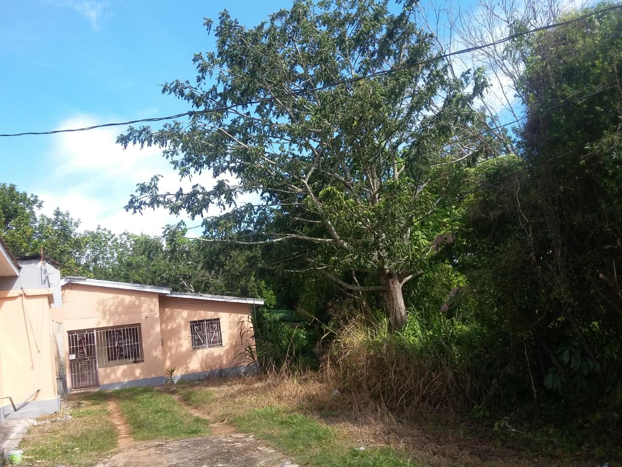 House For Sale: PATRICK ROAD, Mandeville | $230,000 | Keez