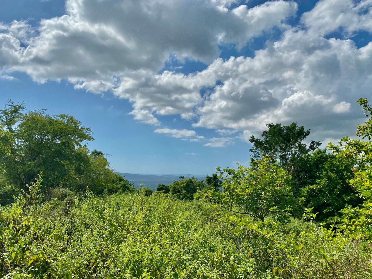 Residential Lot For Sale PART OF MOUNT DAWSON, Sligoville 6,500,000