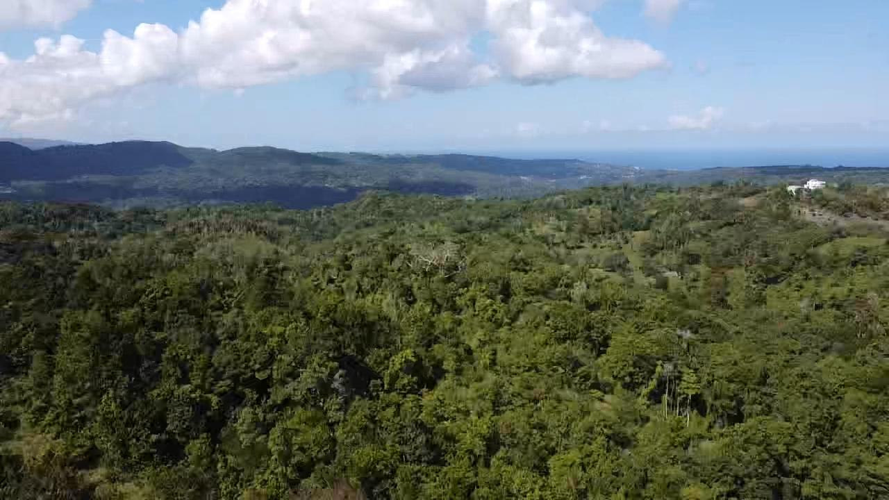 Development Land (Residential) For Sale UNION HILL, Union Hill