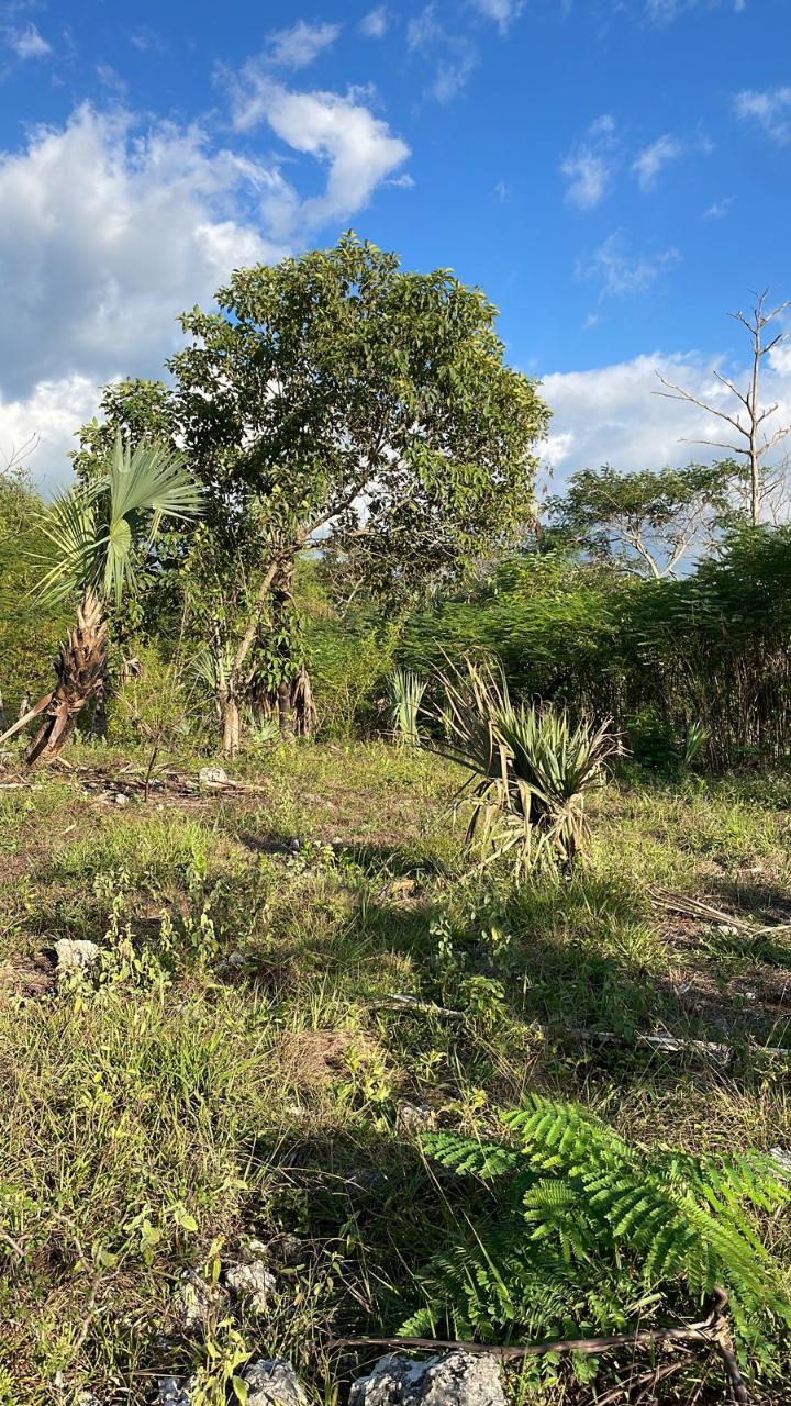 Residential Lot For Sale SANTA CRUZ MAIN RD, Santa Cruz 6,000,000