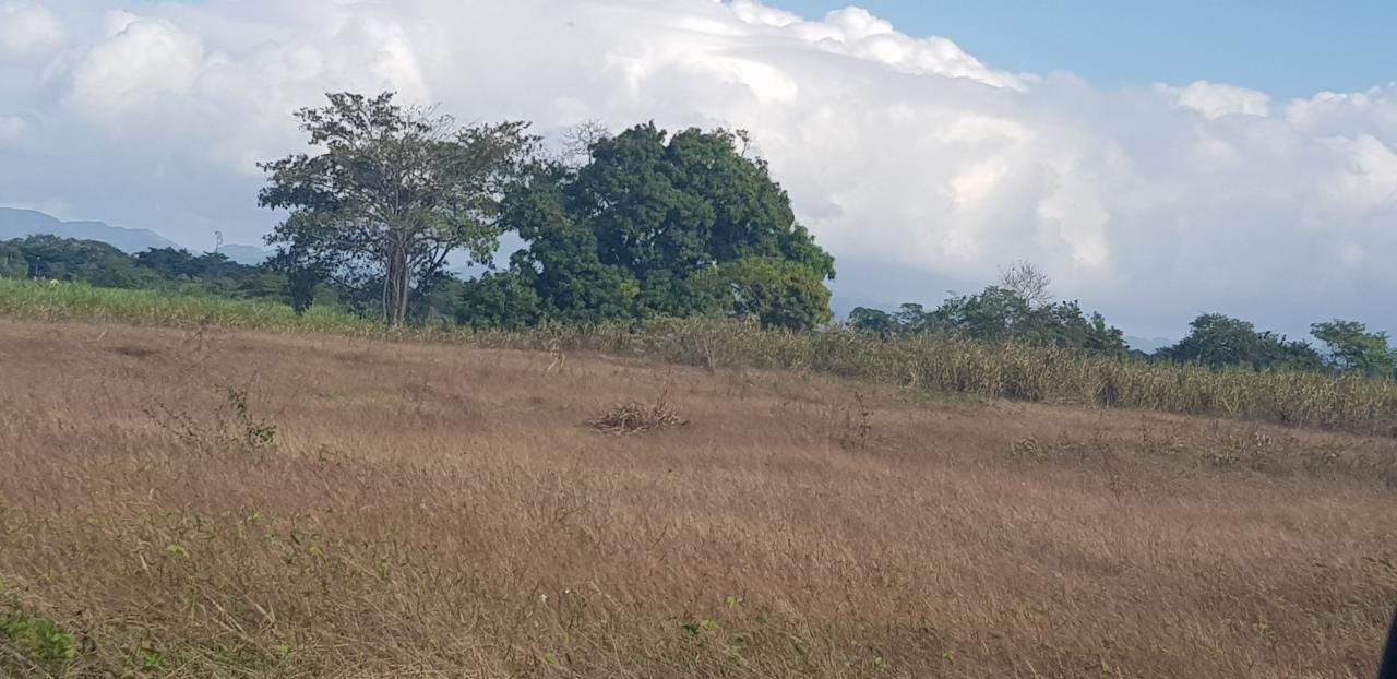 Residential Lot For Sale EMMAVILLE, SavannaLaMar 50,000 Keez