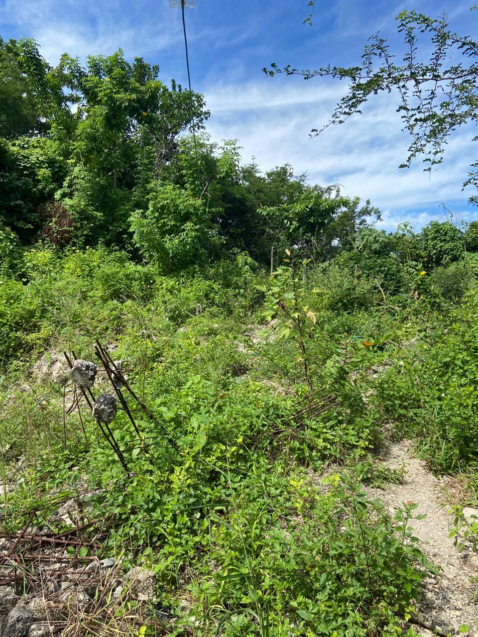 Residential Lot For Sale CARLYE AVENUE PORTO BELLO, Montego Bay