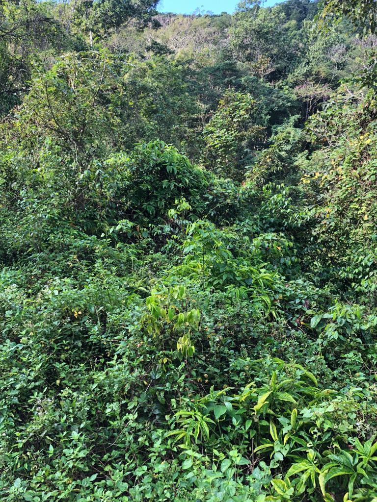 Residential Lot For Sale STEWART TOWN, Stewart Town 3,500,000 Keez