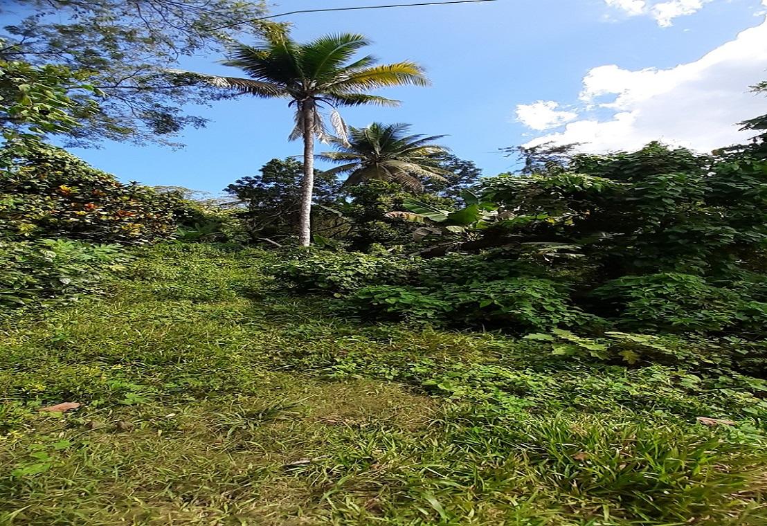 Development Land (Residential) For Sale ELYSIUM PARADISE, HOPE BA