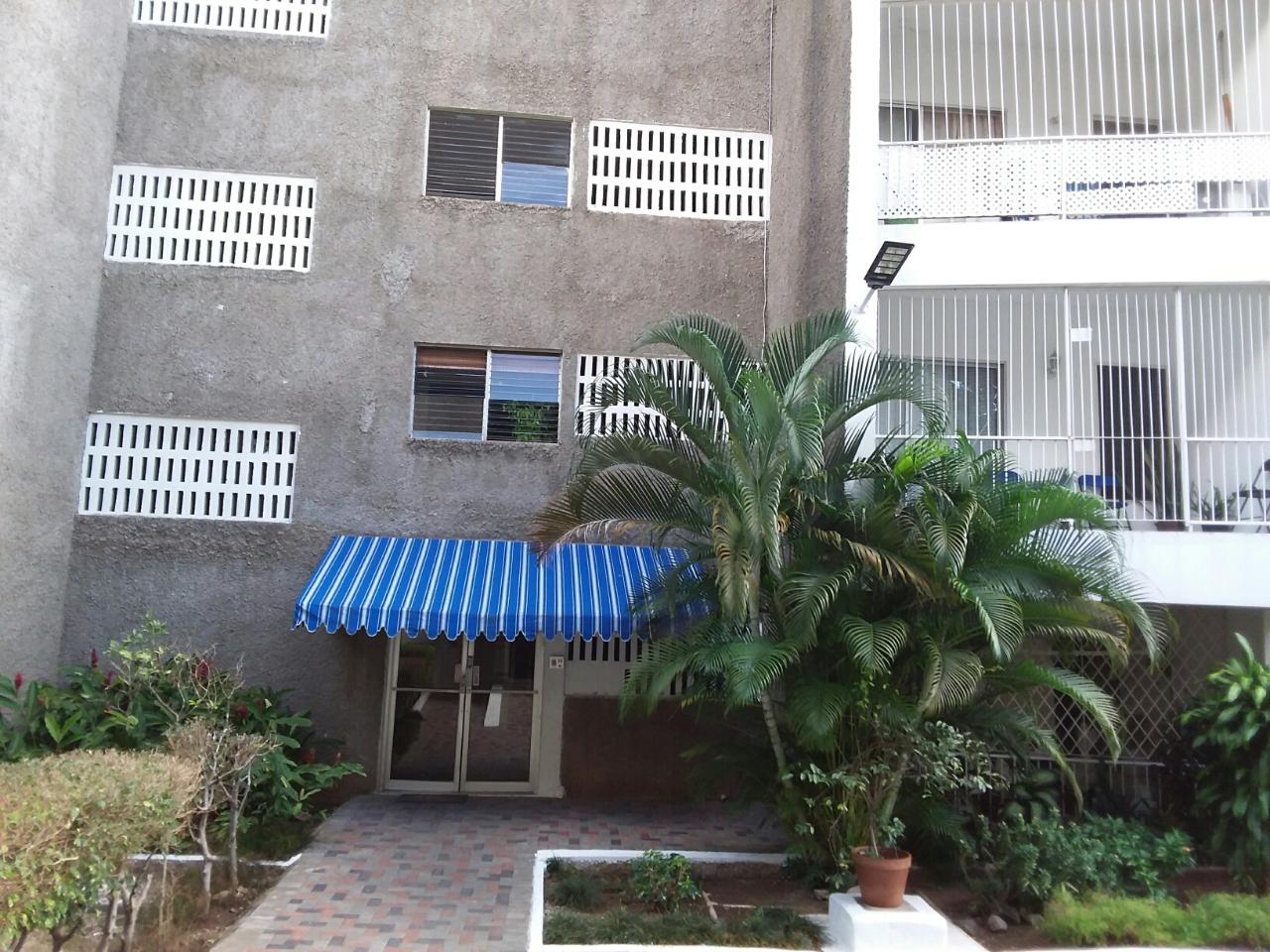 Apartment For Rent: Old Hope Road, Kingston 6 