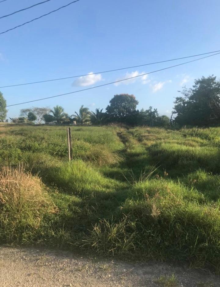 Development Land (Residential) For Sale LEE PARK, FARM PEN, SavannaLa