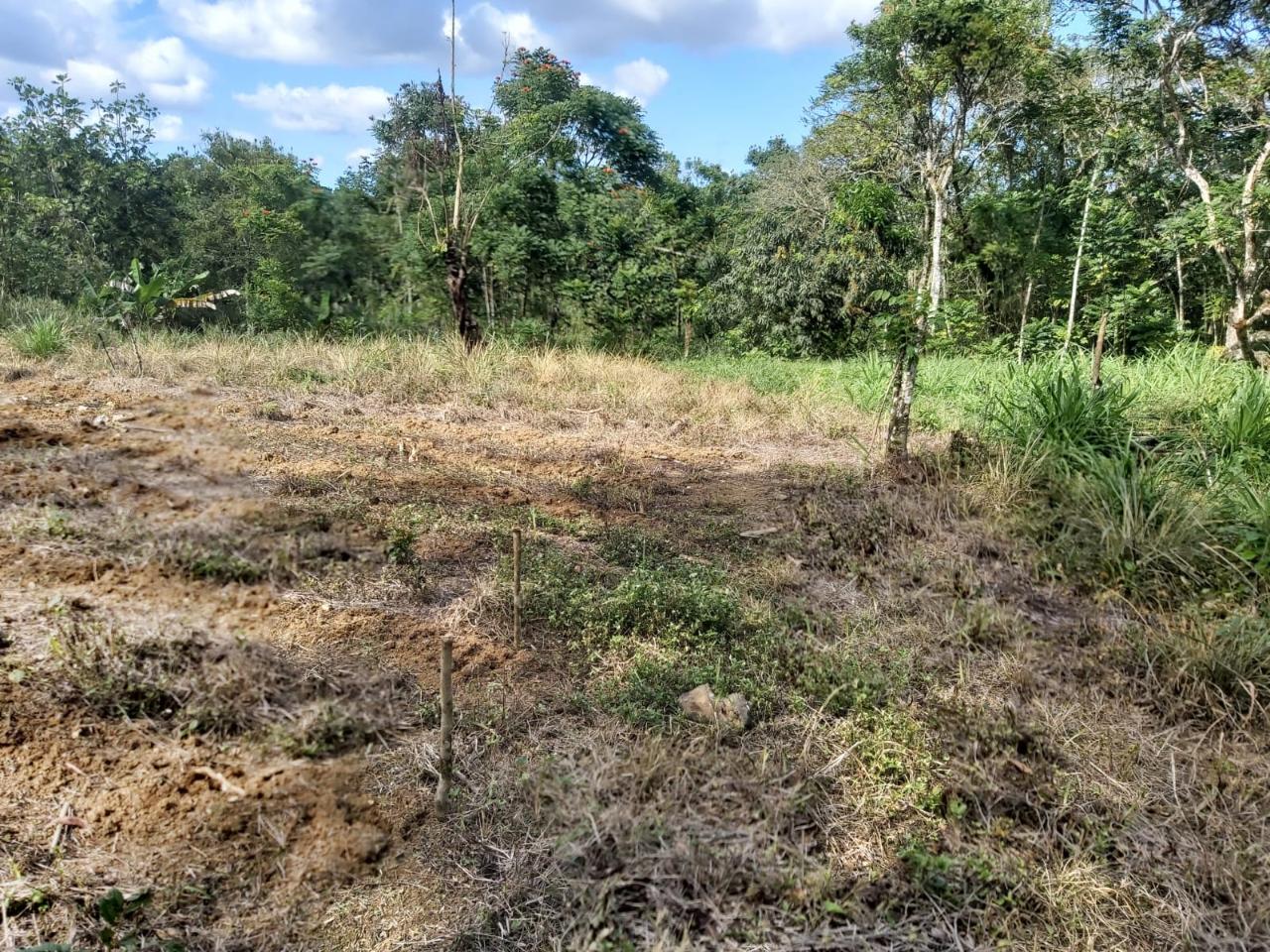 Development Land (Residential) For Sale BURNT GROUND, Ramble