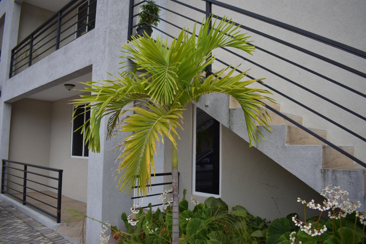 Apartment For Rent LAKEHURST DRIVE, Kingston 8 190,000 Keez