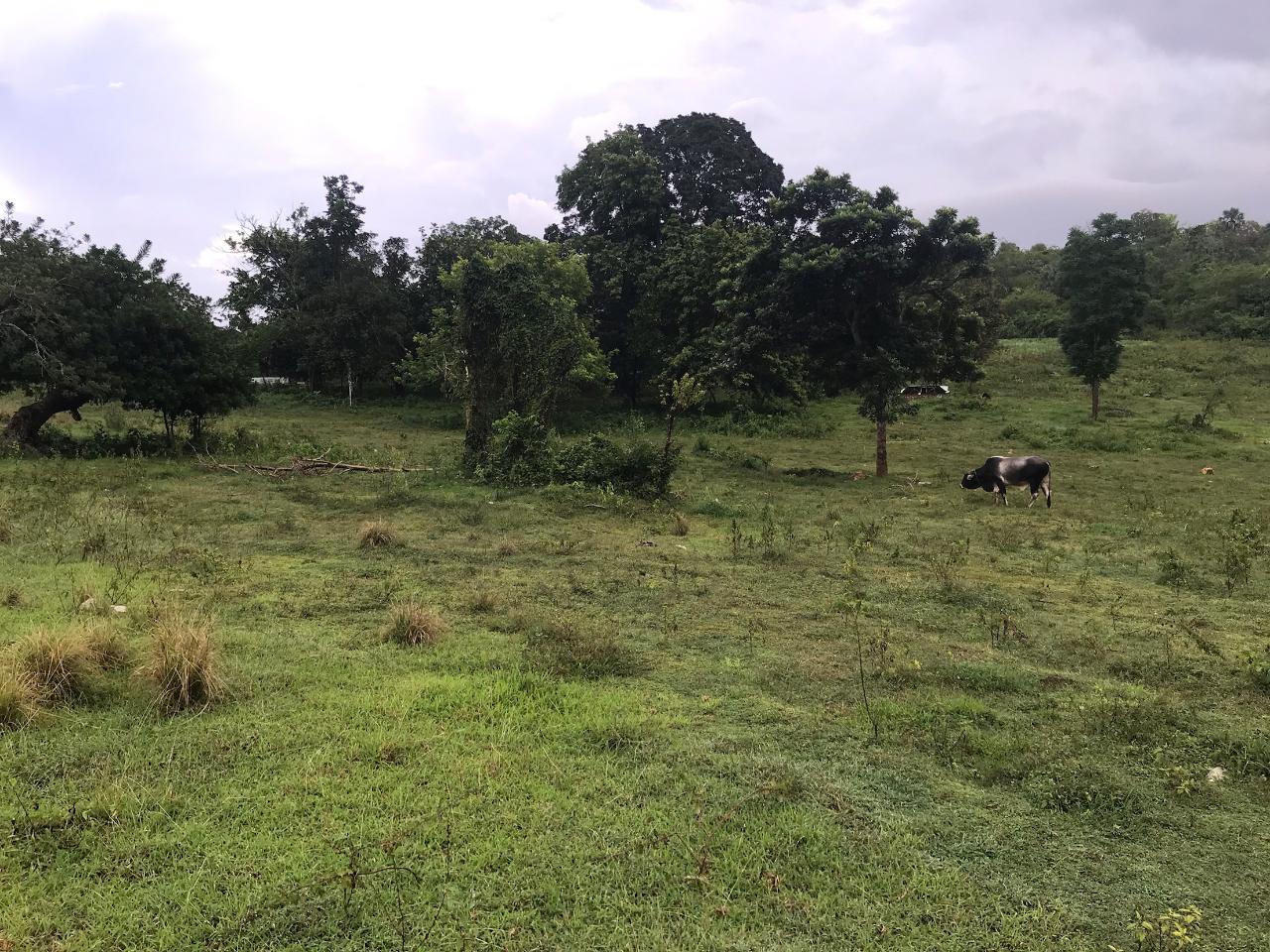 House For Sale SANTA CRUZ PARK, Santa Cruz 13,000,000 Keez