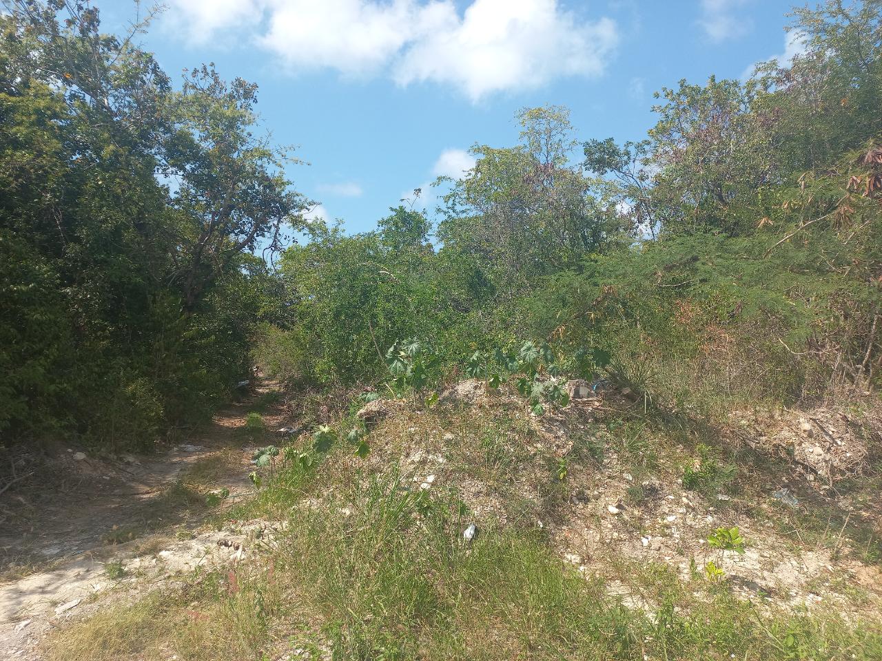 Residential Lot For Sale: IRONSHORE DRIVE, Montego Bay | $6,000,000 | Keez