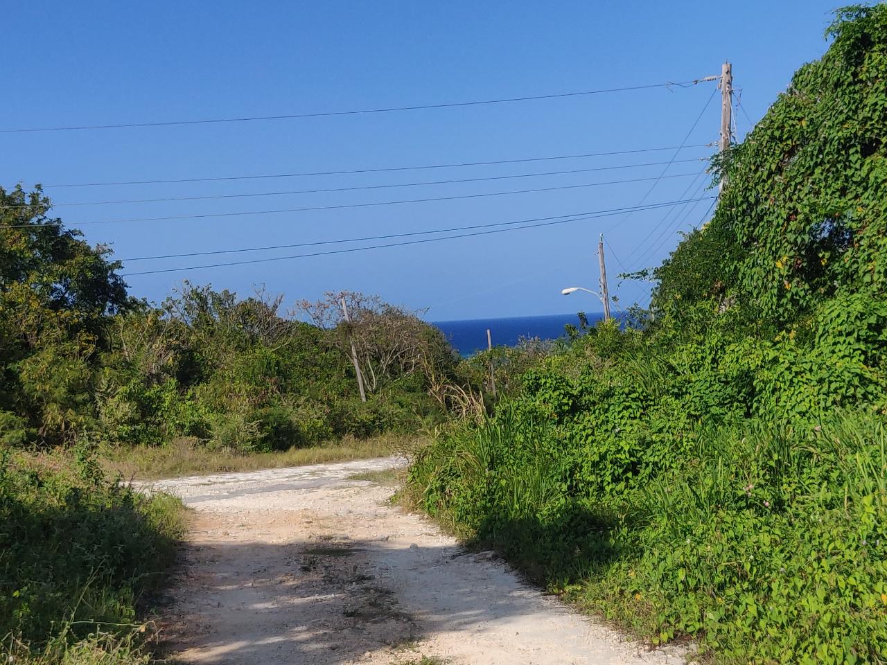 Residential Lot For Sale DUNCANS BAY, Duncans 100,000 Keez