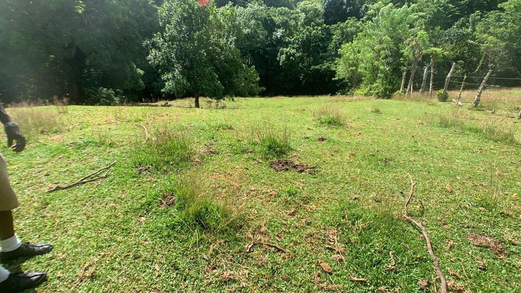 Development Land (Residential) For Sale HARTFORD, Priestmanapos;s