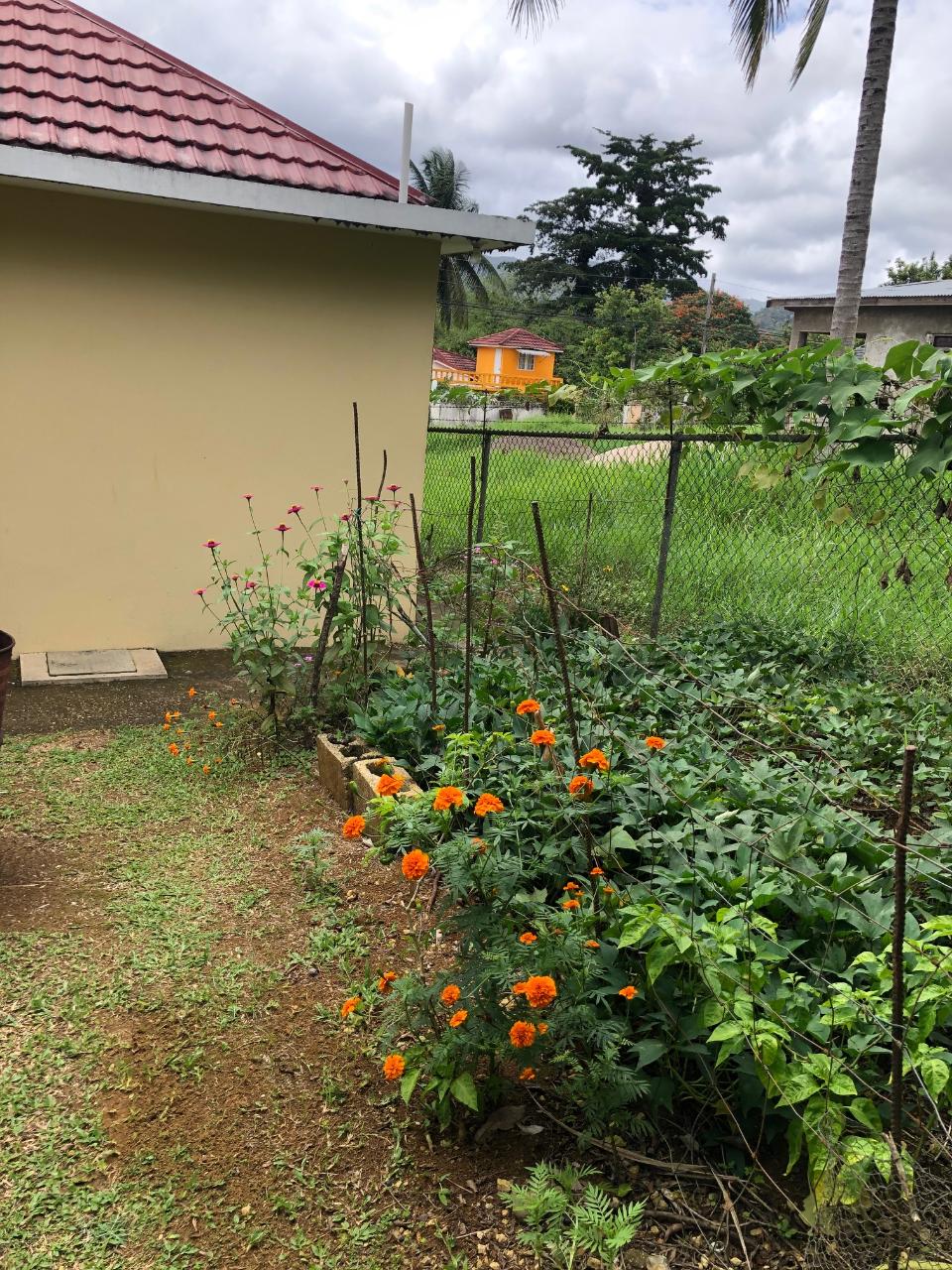 House For Sale MONEAGUE, ST ANN, Moneague 22,000,000 Keez