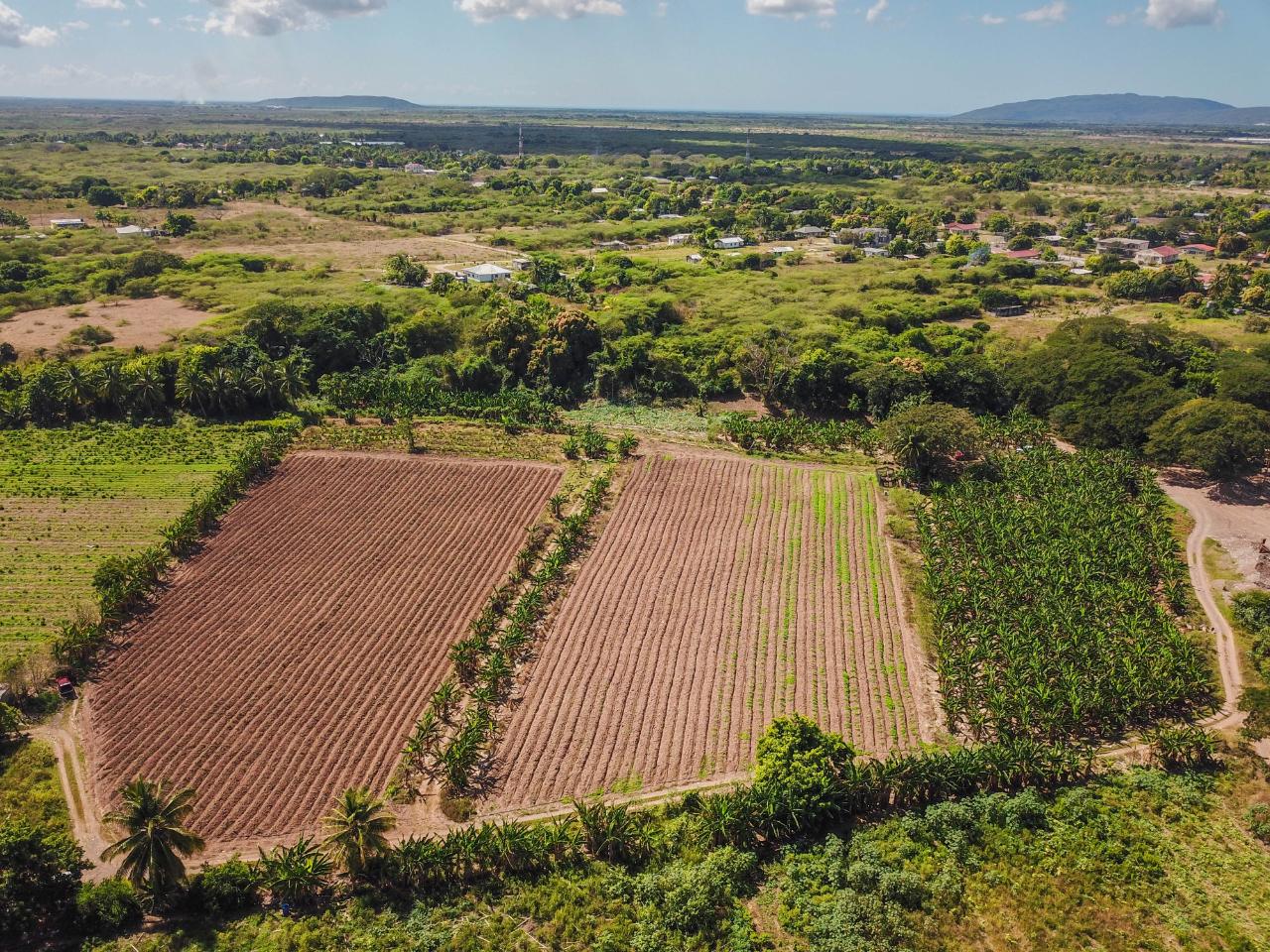 Development Land (Residential) For Sale DENBIGH, DENBIGH P.O. CLA