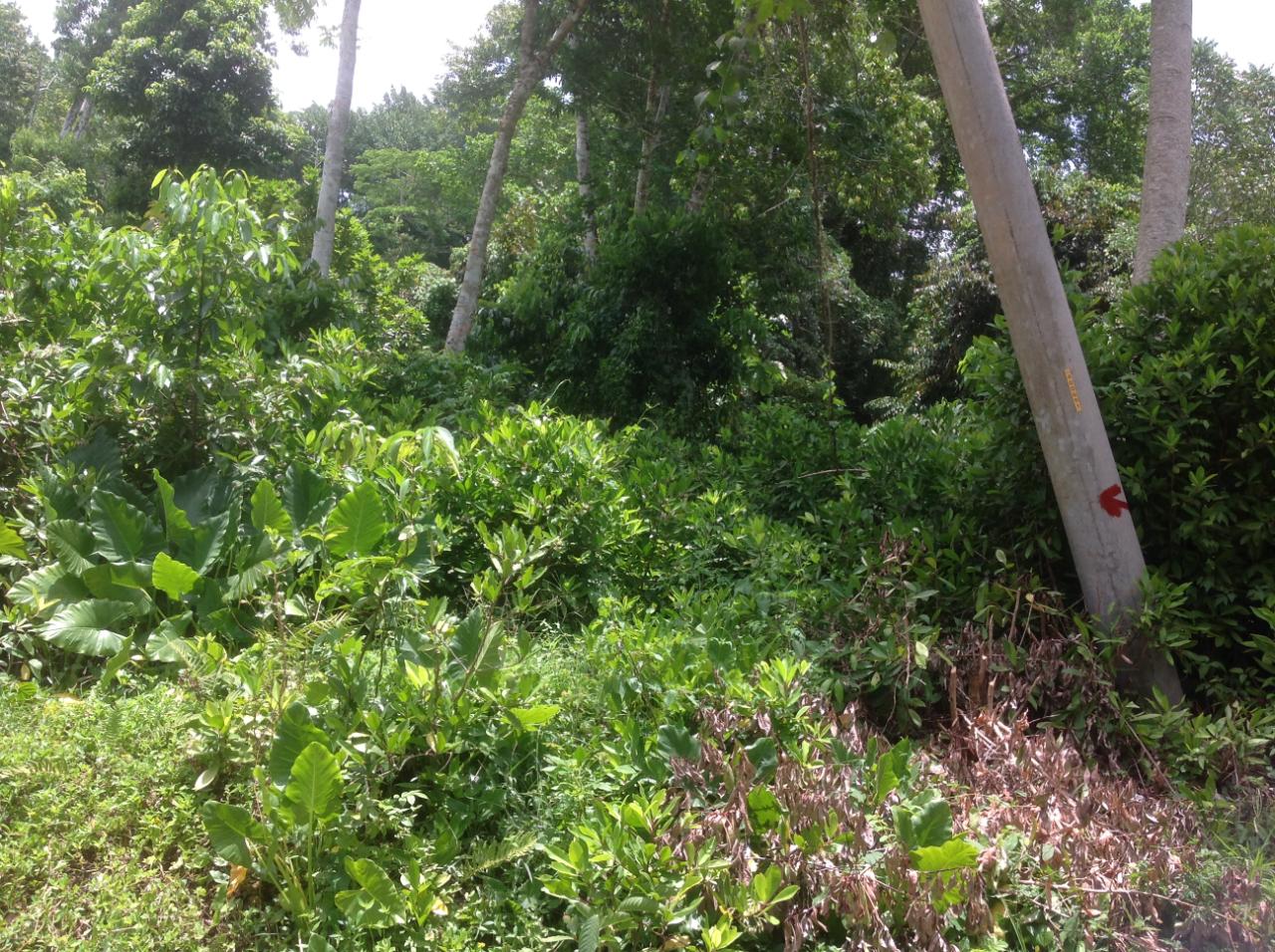 Development Land (Residential) For Sale WARWICK CASTLE , ST MARY