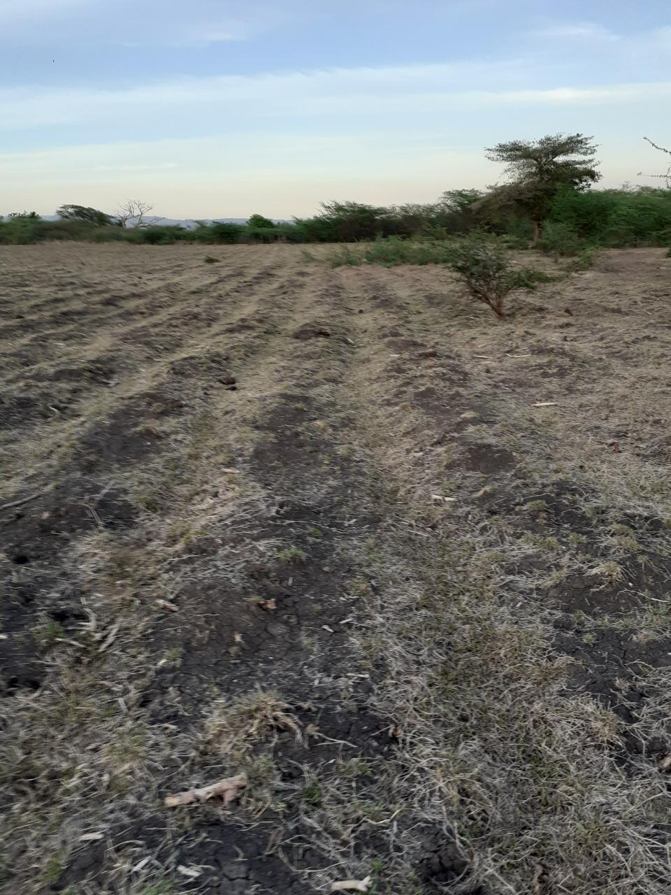 Development Land (Residential) For Sale HOWELLS CONTENT, Four Paths