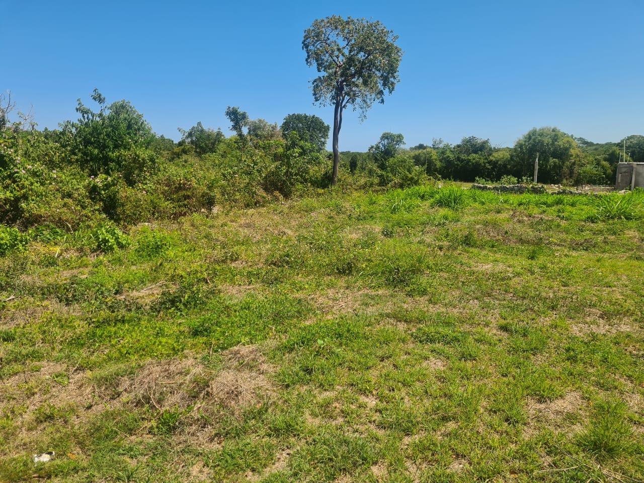 Residential Lot For Sale 436 DUNCAN BAY, TRELAWNY, Duncans 65,000
