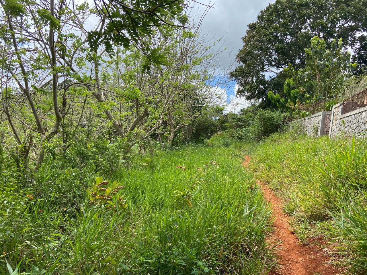 Residential Lot For Sale DUNROBIN MANCHESTER, Mandeville 7,000,000