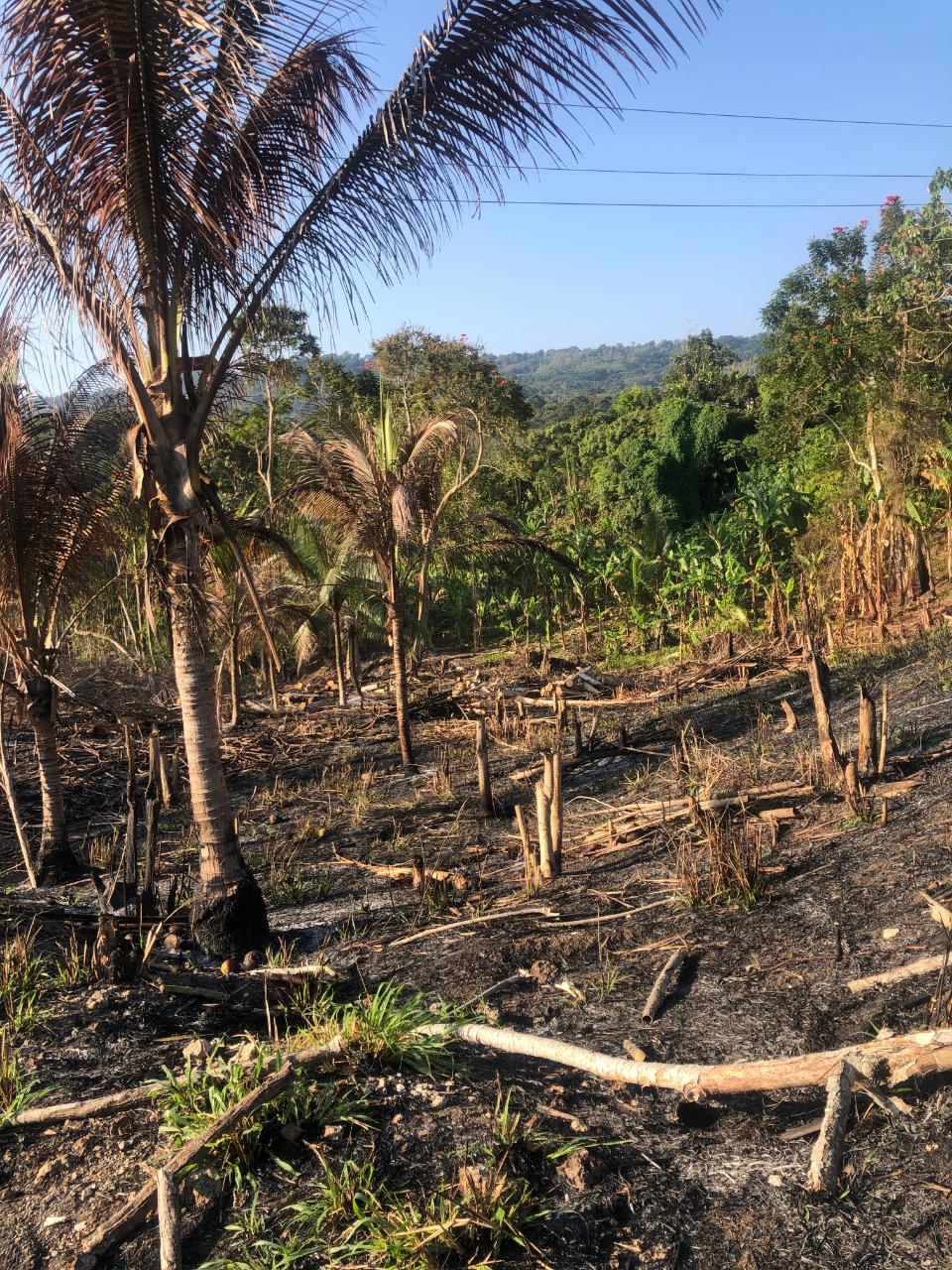 Residential Lot For Sale FREE HILL ST. MARY, Free Hill 55,000 Keez