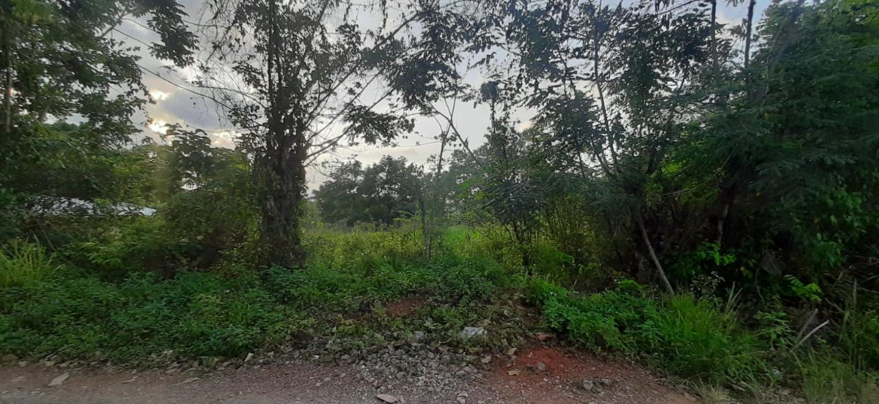 Residential Lot For Sale HUNTLEY, ST ANN, Browns Town 9,000,000 Keez