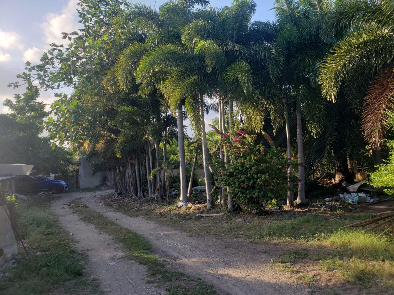 Development Land (Residential) For Sale ST CATHERINE, Old Harbour