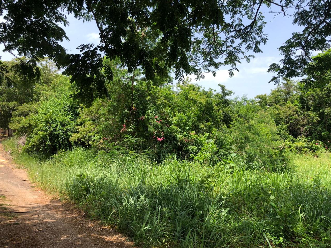 Residential Lot For Sale GREEN ACRES, ST CATHERINE, Spanish Town