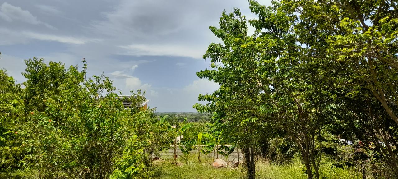 Residential Lot For Sale: BELLEWOOD DRIVE, Spanish Town | $6,700,000 | Keez