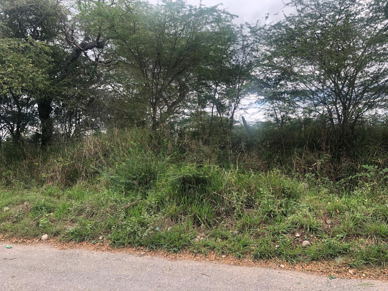 Development Land (Residential) For Sale BUSHY PARK, Bushy Park