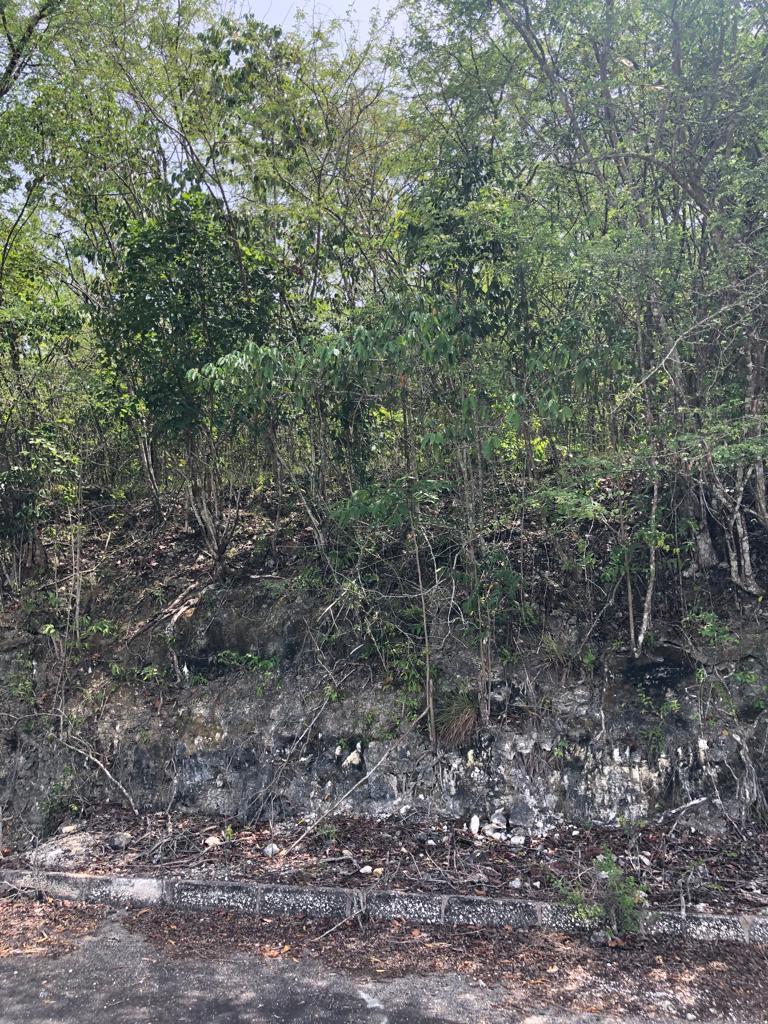 Residential Lot For Sale IRWIN POINT, Montego Bay 6,300,000 Keez
