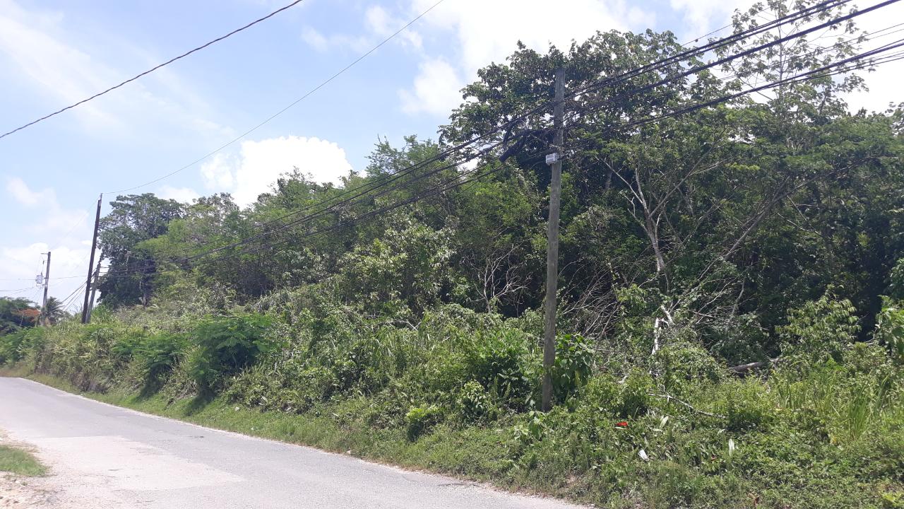 Development Land (Residential) For Sale ADELPHI TO DUMFRIES RD