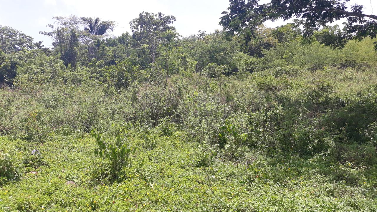 Development Land (Residential) For Sale ADELPHI TO DUMFRIES RD