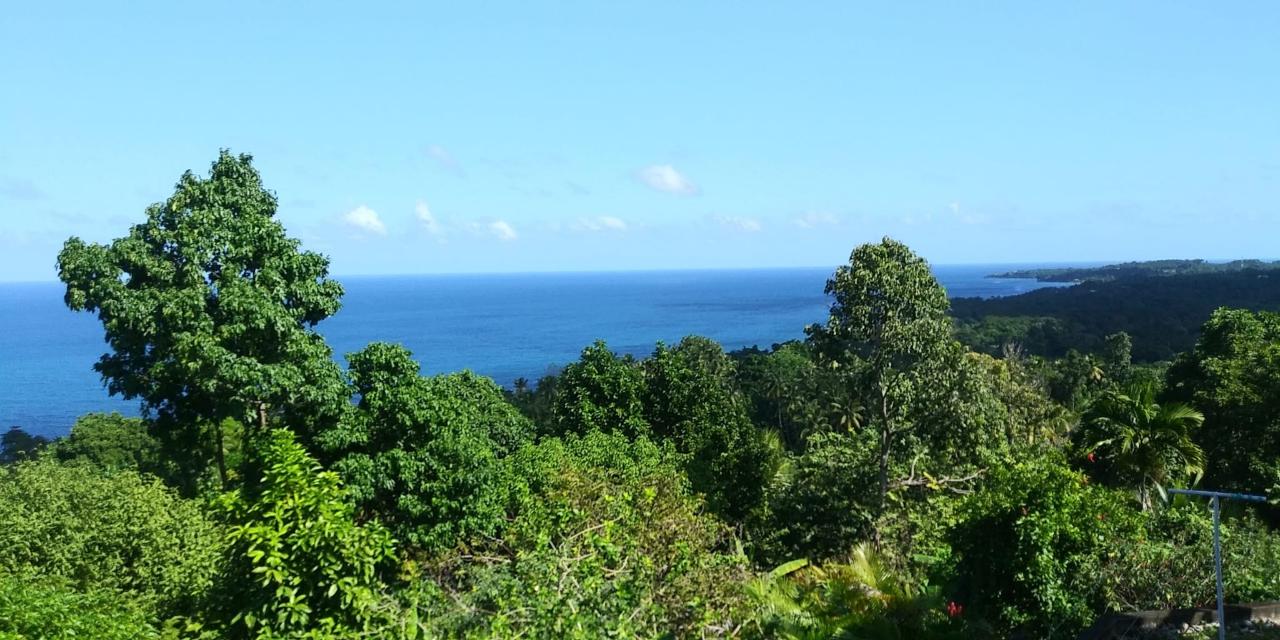 Development Land (Residential) For Sale SPRING GARDEN, BUFF BAY,, Buff