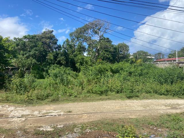 Residential Lot For Sale: GALINA, Port Maria | $4,000,000 | Keez