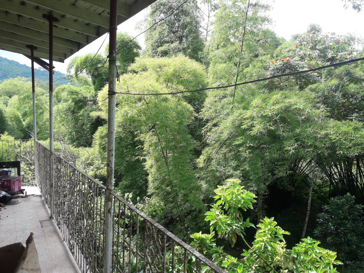 House For Sale TEMPLE HALL, Kingston 9 42,000,000 Keez