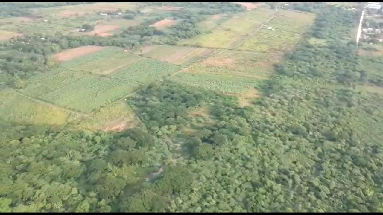 Development Land (Residential) For Sale BUSHY PARK, Bushy Park