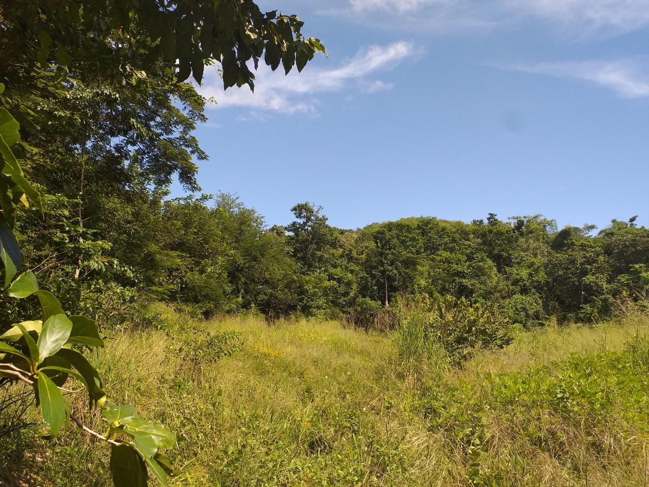 Development Land (Residential) For Sale BUCKINGHAM, Seaforth