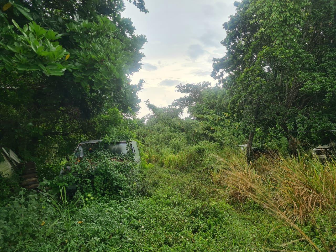 Commercial Lot For Rent HOLLAND ESTATE, TRELAWNY, Falmouth 100,000 Keez