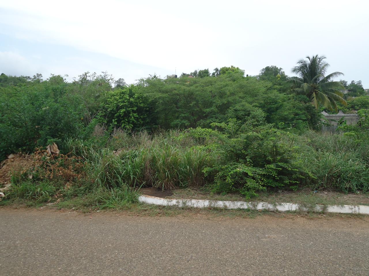 Residential Lot For Sale ST. JAGO GROVE, Spanish Town 5,500,000 Keez