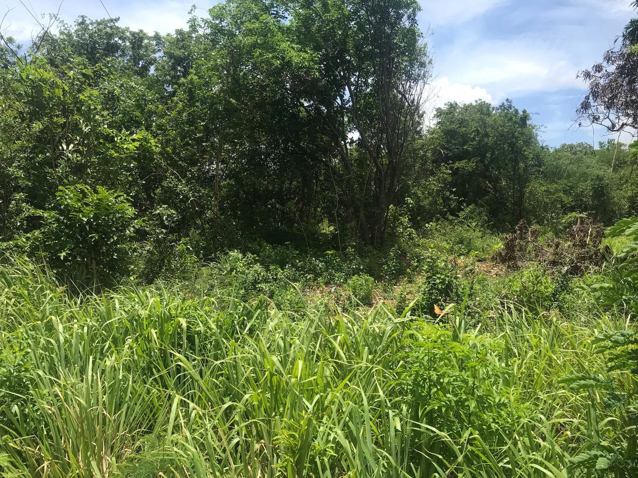 Residential Lot For Sale MARSHALLS PEN, MANDEVILLE, Mandeville