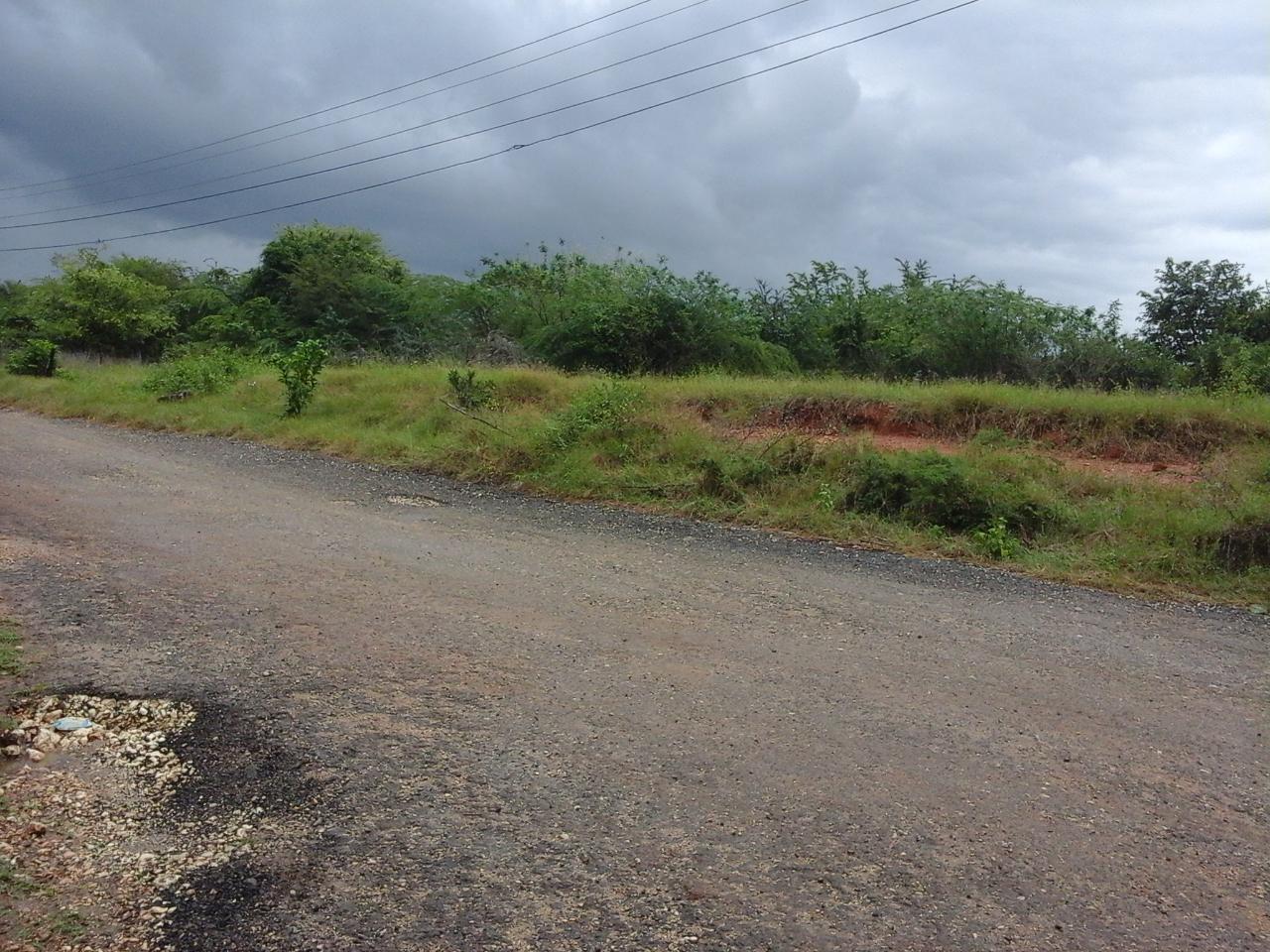 Development Land (Residential) For Sale SANDY BAY, GREEN PARK, CL, May